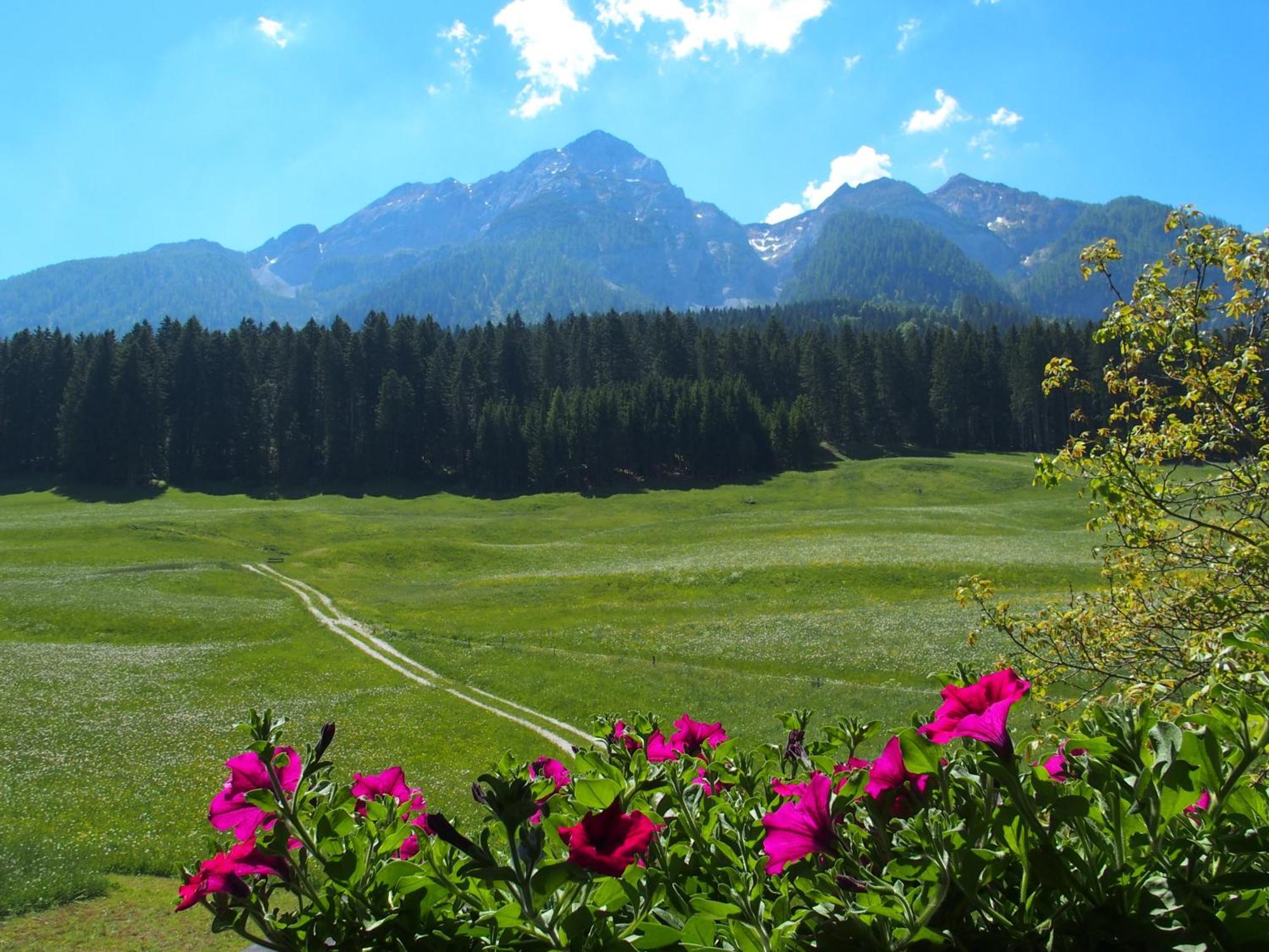 Bauernhof Ober Daire Birnbaum Dış mekan fotoğraf