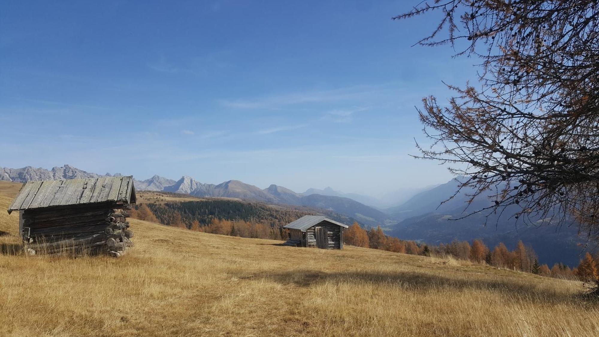 Bauernhof Ober Daire Birnbaum Dış mekan fotoğraf