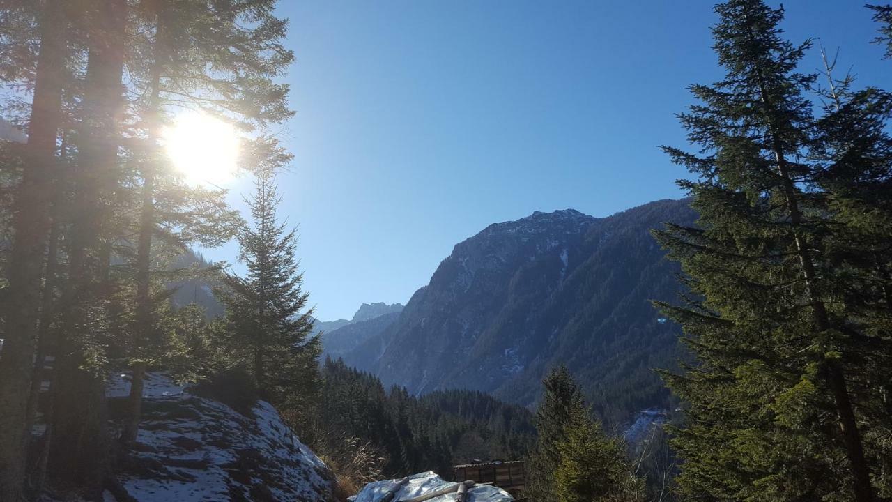 Bauernhof Ober Daire Birnbaum Dış mekan fotoğraf