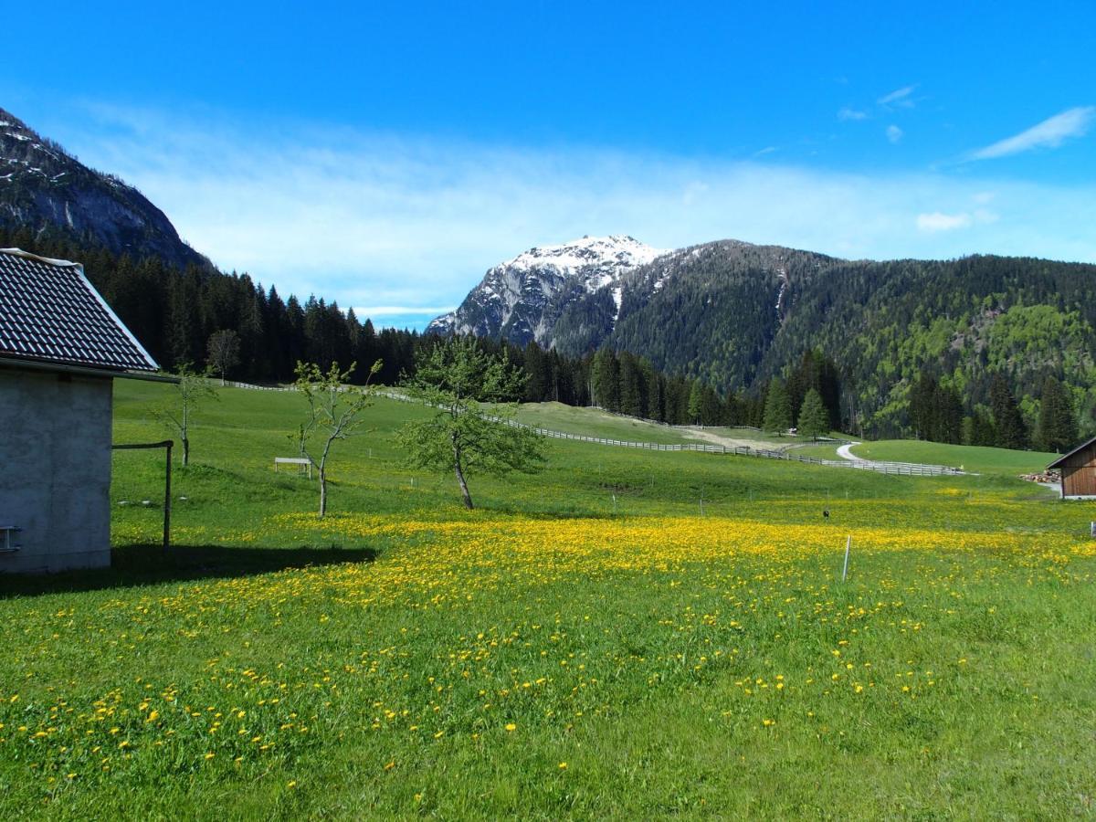 Bauernhof Ober Daire Birnbaum Dış mekan fotoğraf
